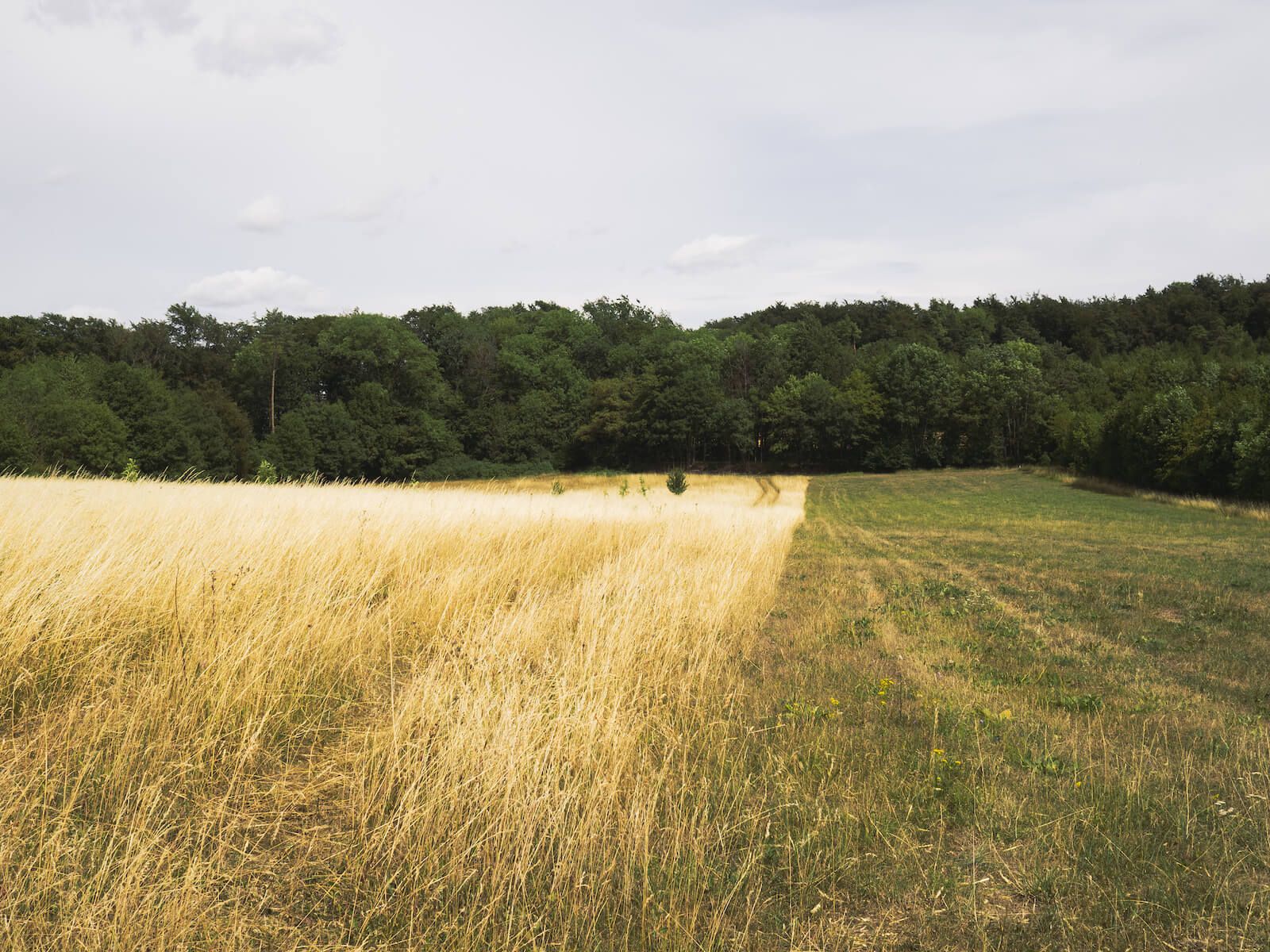 Ausflugstipp: Steinerne Rinne