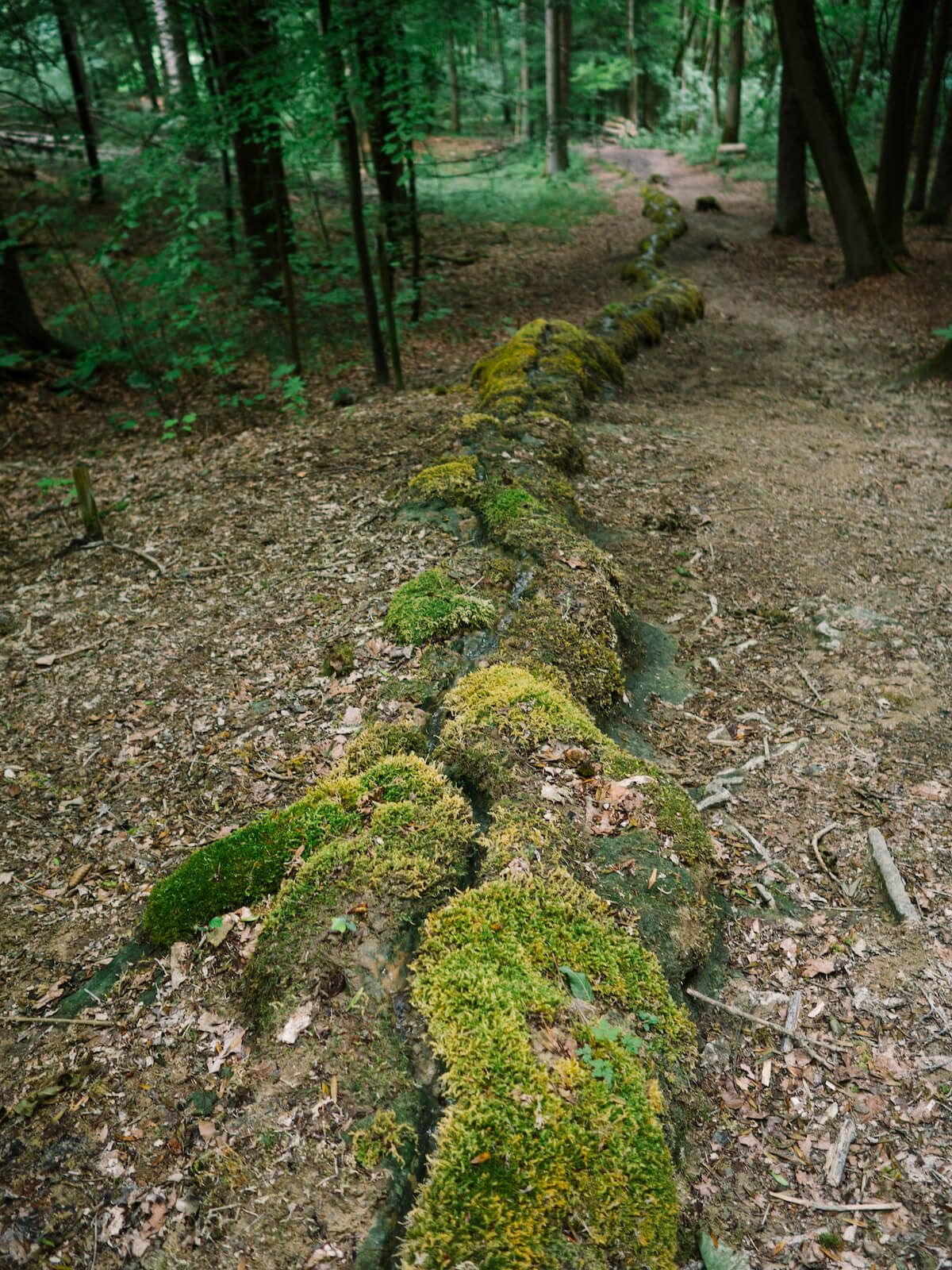 Ausflugstipp: Steinerne Rinne