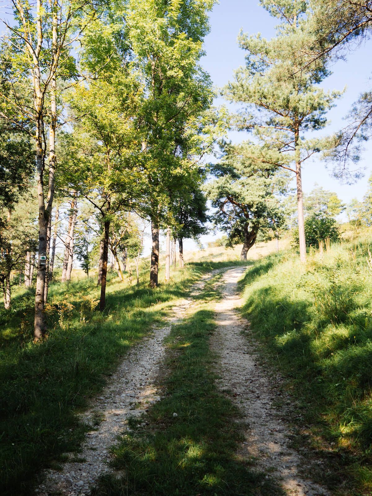 Ausflugstipp: Dornig und Umgebung