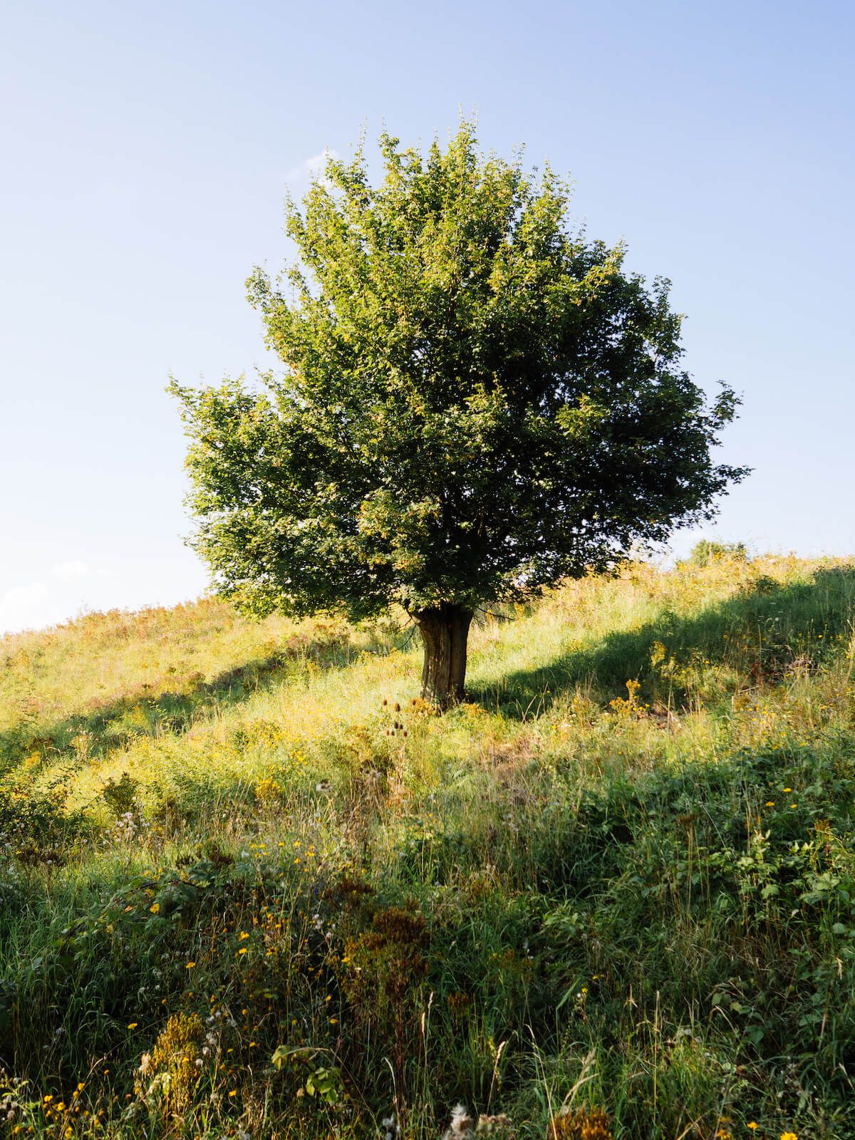 Ausflugstipp: Dornig und Umgebung