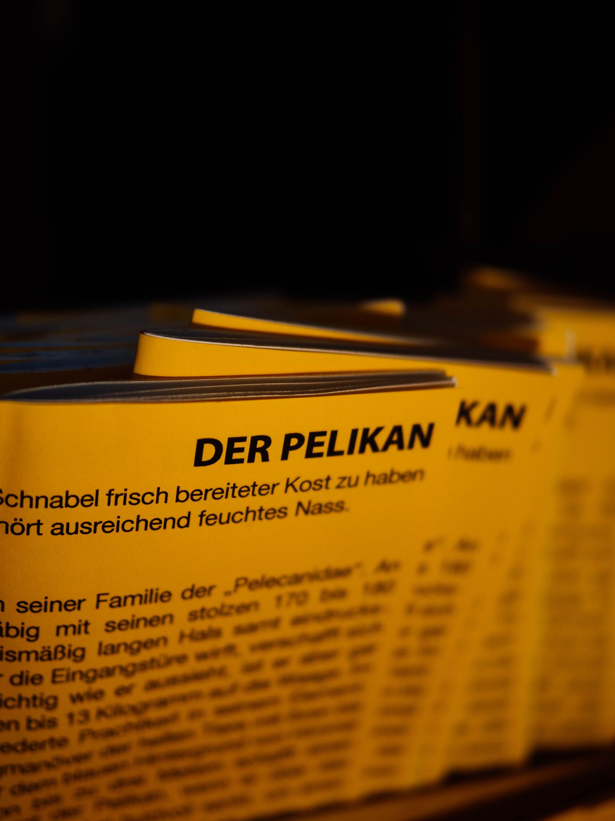 Der Pelikan