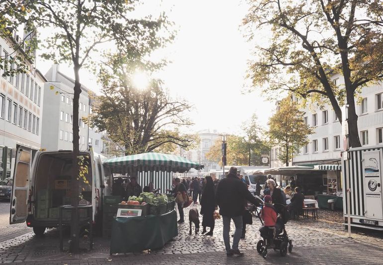 Bamberger Bauernmarkt