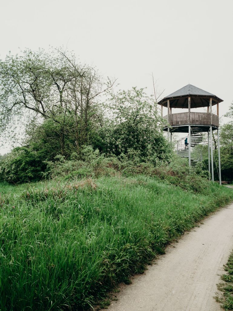 Ausflugstipp: Beobachtungsturm in Hallstadt