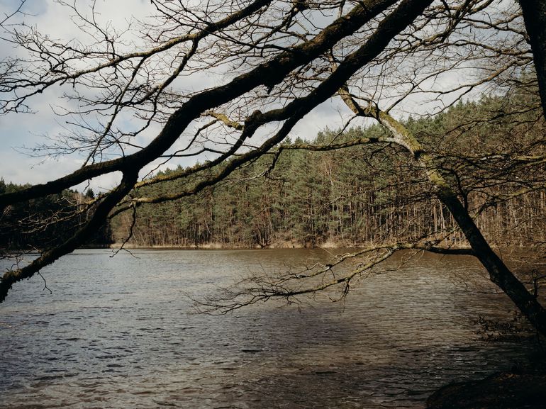 Ausflugstipp: Mönchsweiher Oberhaid