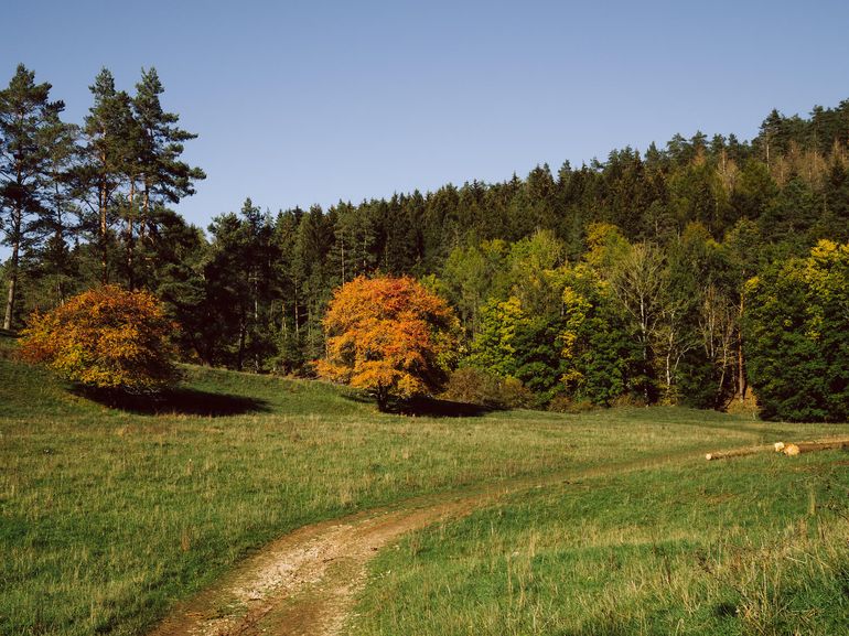 Ausflugstipp: Von der Heroldsmühle ins Leinleitertal