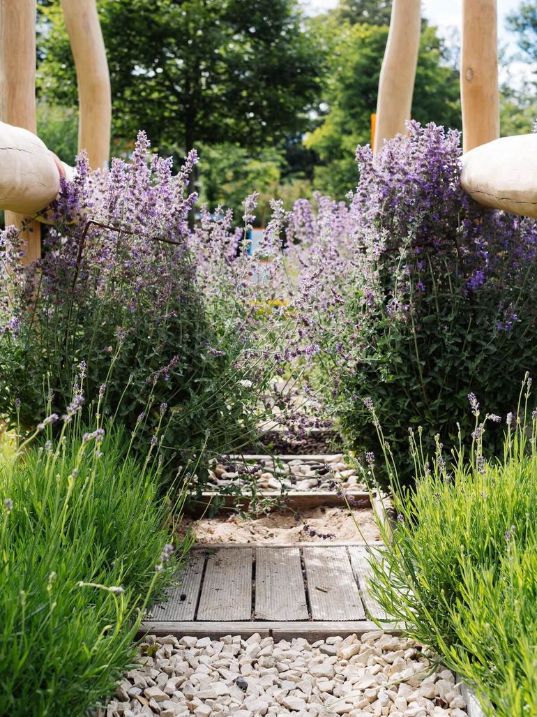 Bienen-Infowabe