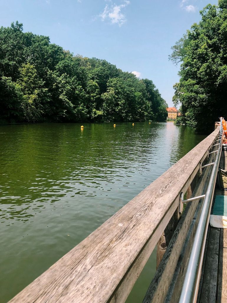 Die schönsten Badeplätze in und um Bamberg